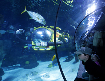 Børn kigger på et akvarium med fisk og en legoubåd